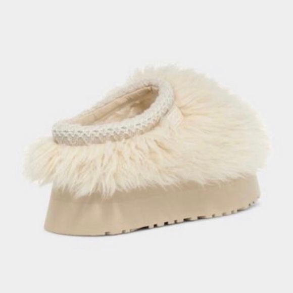 SOLD: Fluff Momma Sugar Tasman - Picture 3 of 5